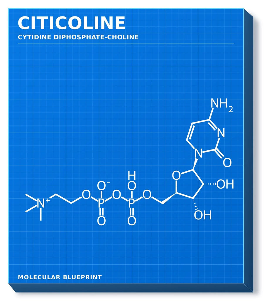 Molecular structure of Citicoline