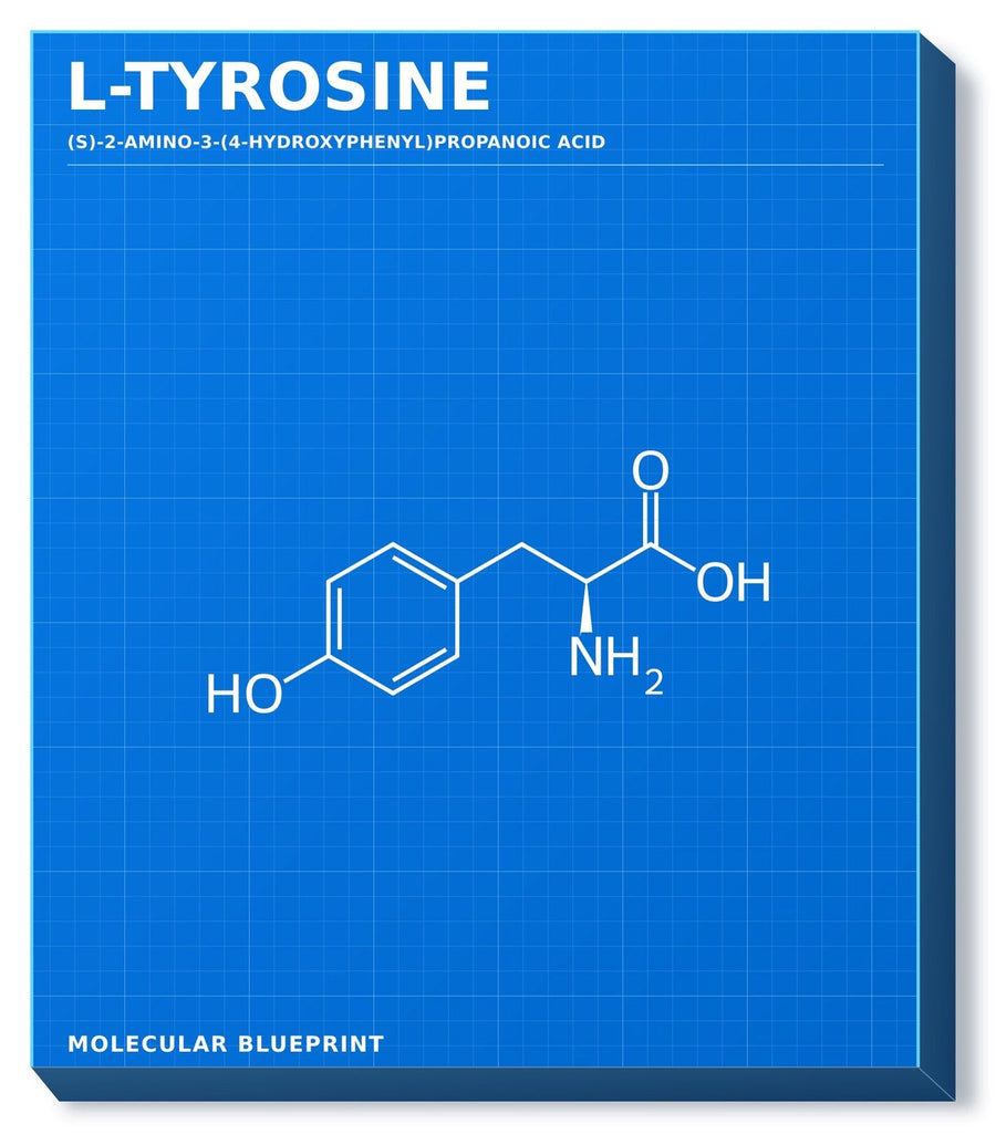 Molecular structure of L-Tyrosine