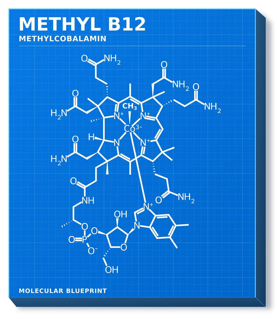 Molecular structure of Methyl B12