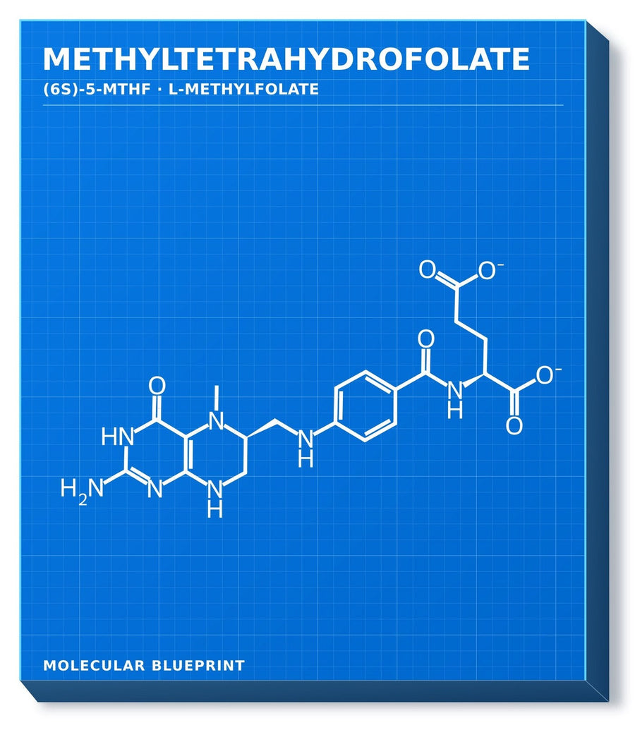 Molecular structure of Methylfolate